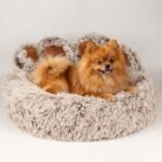 PAW Medium Big Paw Shaped Shaggy Plush Pet Bed (60cm)