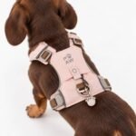 PAW Extra Small (2-4Kg) Dog Step-in Guardian Harness with Reflective Mesh (Pink) – Rose Quartz Charm - Image 10