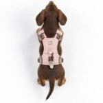 PAW Extra Small (2-4Kg) Dog Step-in Guardian Harness with Reflective Mesh (Pink) – Rose Quartz Charm - Image 11