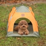 PAW Green & Orange Pet Bed Tent (48 × 48 × 40cm)