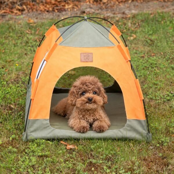 PAW Green & Orange Pet Bed Tent (48 × 48 × 40cm)