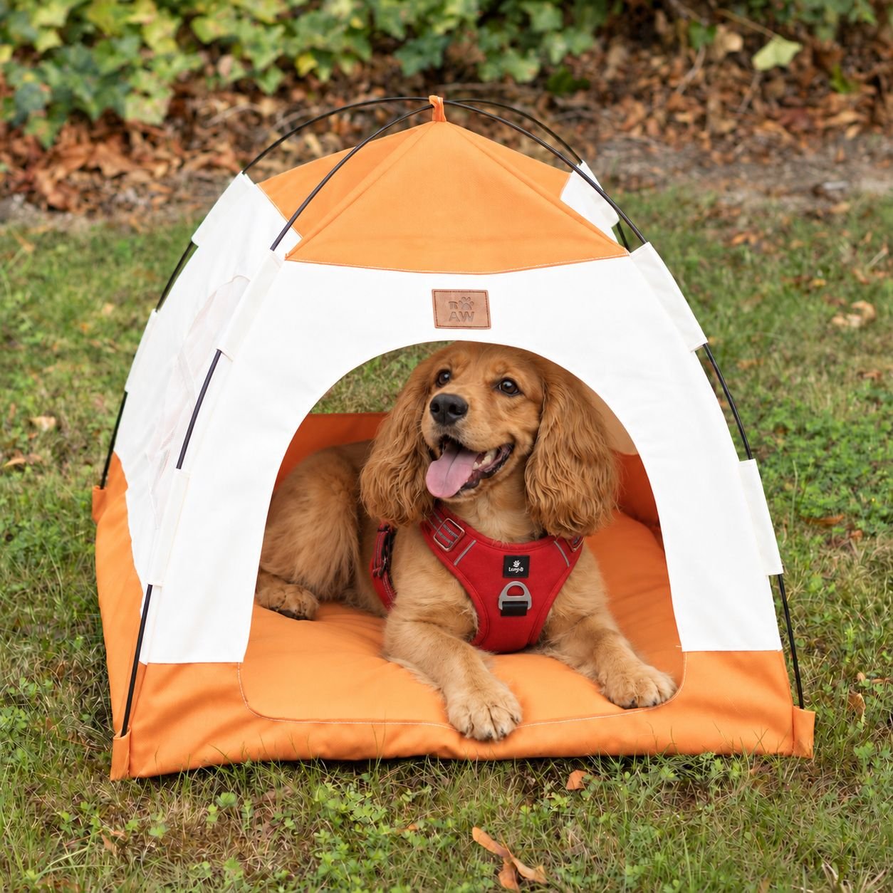bG9jYWw6Ly9tZWRpYS8xUS9KQy82MFIzMEMxSjZSVktKQzFRL2FmN2RmODcxLmpwZw.jpg PAW Beige & Orange Pet Bed Tent (58 × 58 × 48cm) - Image 1