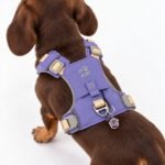 PAW Extra Small (2-4Kg) Dog Step-in Guardian Harness with Reflective Mesh (Lavender) – Amethyst Charm - Image 10