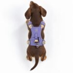 PAW Extra Small (2-4Kg) Dog Step-in Guardian Harness with Reflective Mesh (Lavender) – Amethyst Charm - Image 11
