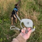 PAW Elephant Strap Pet Leash (2M) – Grey & Yellow - Image 9
