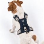 PAW Small (4-8Kg) Dog Step-in Guardian Harness with Reflective Mesh (Black) – Obsidian Charm - Image 11