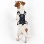 PAW Small (4-8Kg) Dog Step-in Guardian Harness with Reflective Mesh (Black) – Obsidian Charm - Image 10