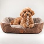 PAW Small Plush Teddy Brown Pet Bed (60 × 45 × 17cm)