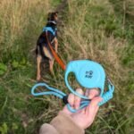 PAW Elephant Strap Pet Leash (2M) – Blue & Orange - Image 9