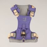 PAW Small (4-8Kg) Dog Step-in Guardian Harness with Reflective Mesh (Lavender) - Amethyst Charm - Image 7