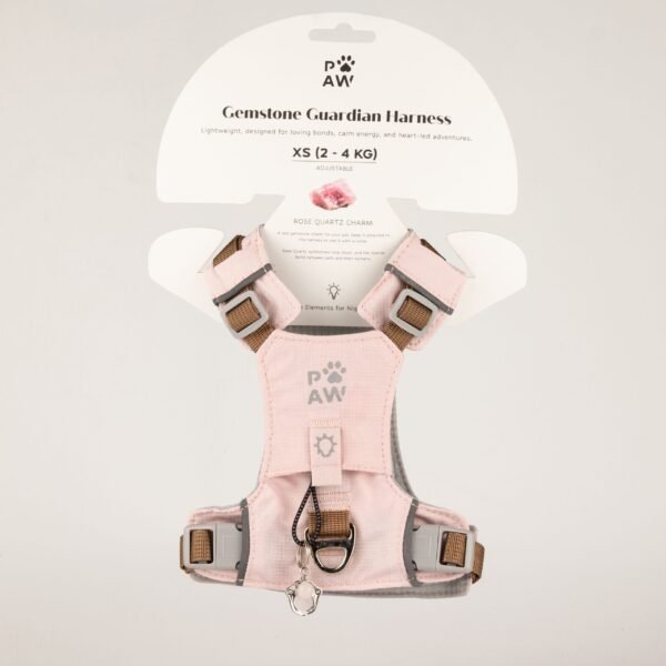 PAW Extra Small (2-4Kg) Dog Step-in Guardian Harness with Reflective Mesh (Pink) – Rose Quartz Charm