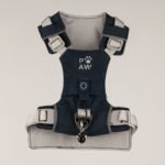 PAW Small (4-8Kg) Dog Step-in Guardian Harness with Reflective Mesh (Black) – Obsidian Charm - Image 7