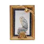 Harry Potter Alumni 4" x 6" Portrait Gold Resin Photo Frame - Hedwig