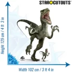 SC1288 Charlie Velociraptor Dinosaur (Jurassic World) Official Large + Mini Cardboard Cutout Standee Size