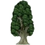 SC275 Tree (Prop) Large Cardboard Cutout Standee