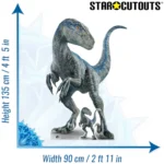 SC4080 Mother Blue Velociraptor Dinosaur (Jurassic World Dominion) Official Large Cardboard Cutout Standee Size