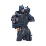 DC: Batman - Batman & Catwoman Kissing Resin Bust (30cm) - Image 5